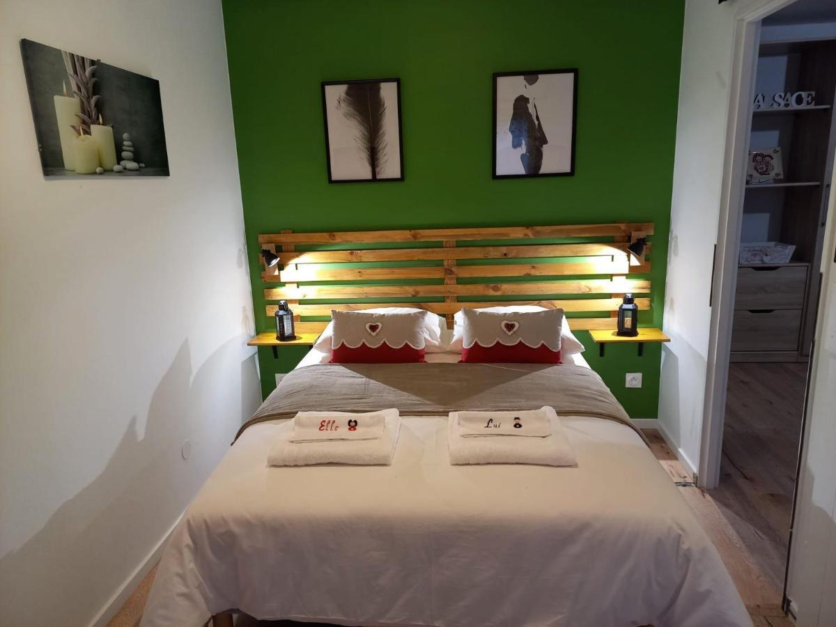 Le Passage Gite Cocooning A Colmar Centre Touristique Luaran gambar